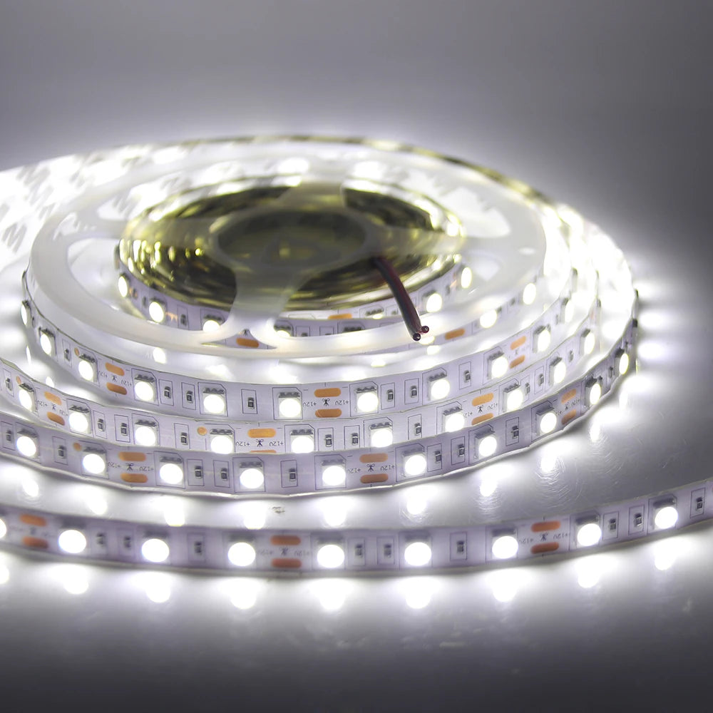 12V RGB Warm White LED Strip