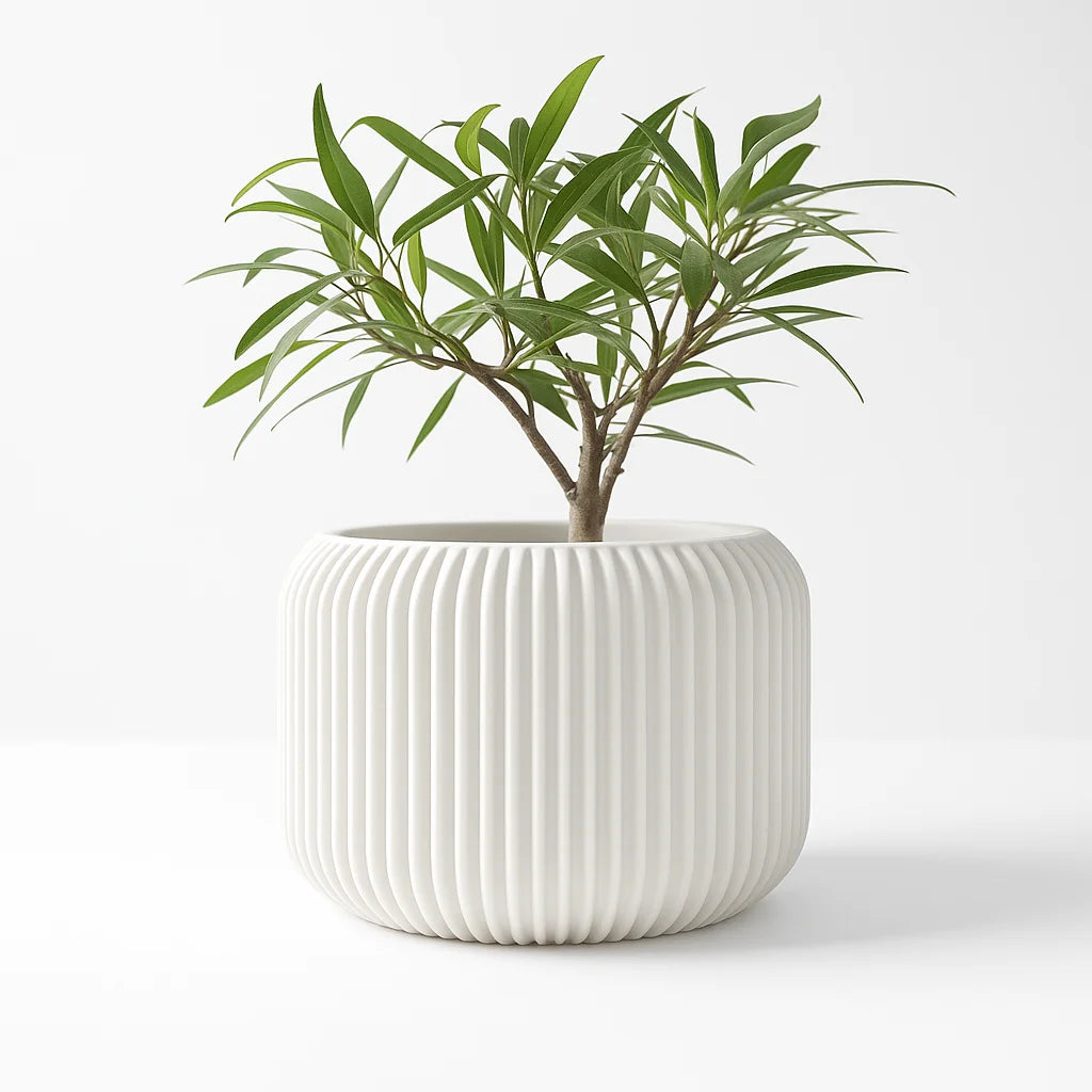 Eco Minimalist Plant Pot
